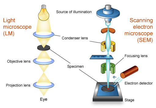 Image for Electron Microscopy 101 Series: Basics in Electron Optics